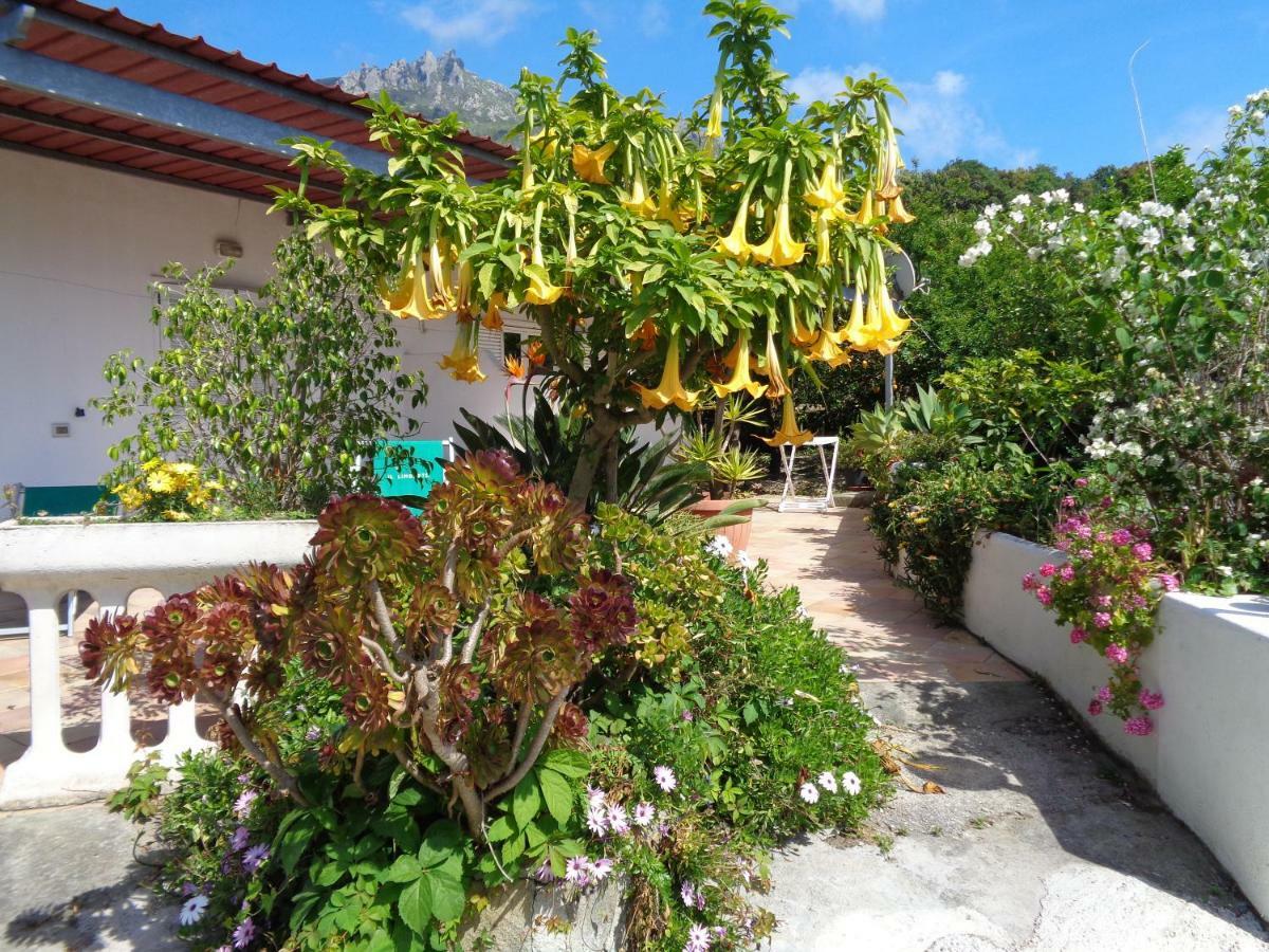 Residence Limoneto Ischia Forio di Ischia Exterior foto